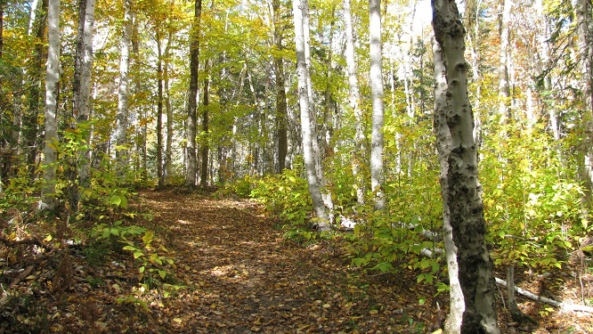 Scotian Glen.png